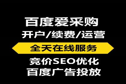 百度推广实战：成功企业的营销策略